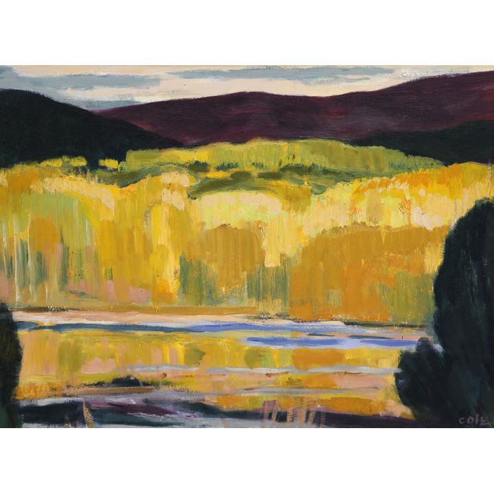 John Cole ''Badger Lake'' 1998 Oil on Board