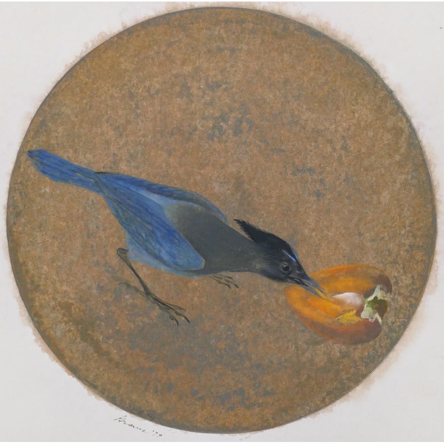 Morris Graves ''Young Blue Jay with Persimmon'' 1979