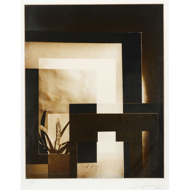 Frank Hofmann 'Composition with Cactus'