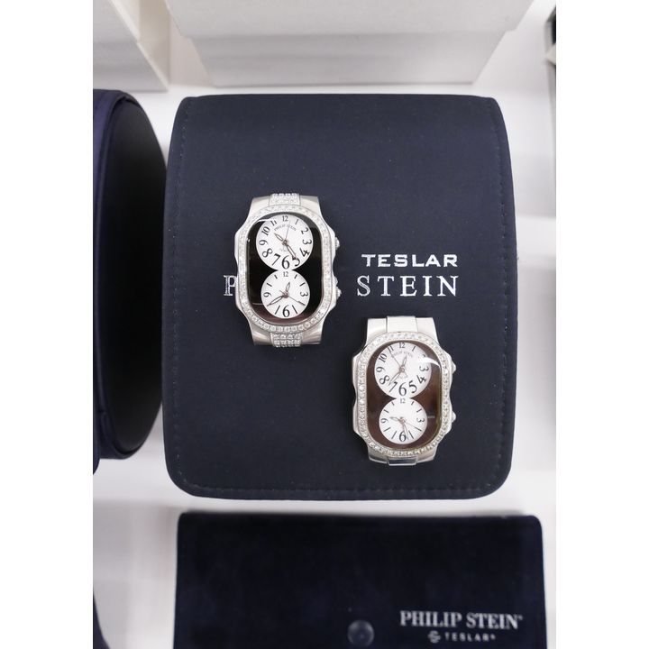 Collection of Philip Stein Teslar Watches & Bands