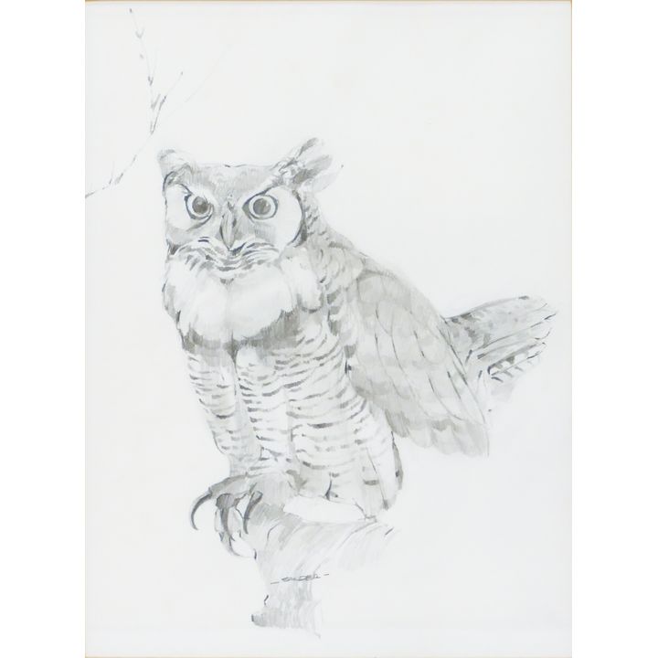 Tom Sander ''Owl'' Signed Pencil on Paper Framed 17.5''x14''