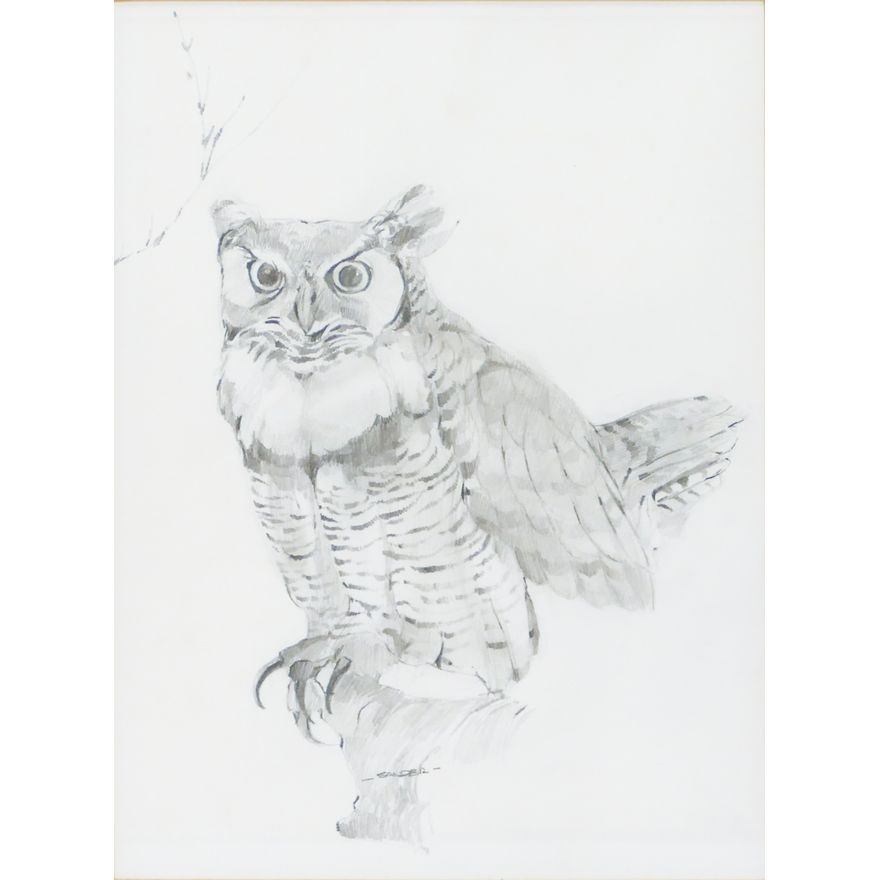 Tom Sander ''Owl'' Signed Pencil on Paper Framed 17.5''x14''