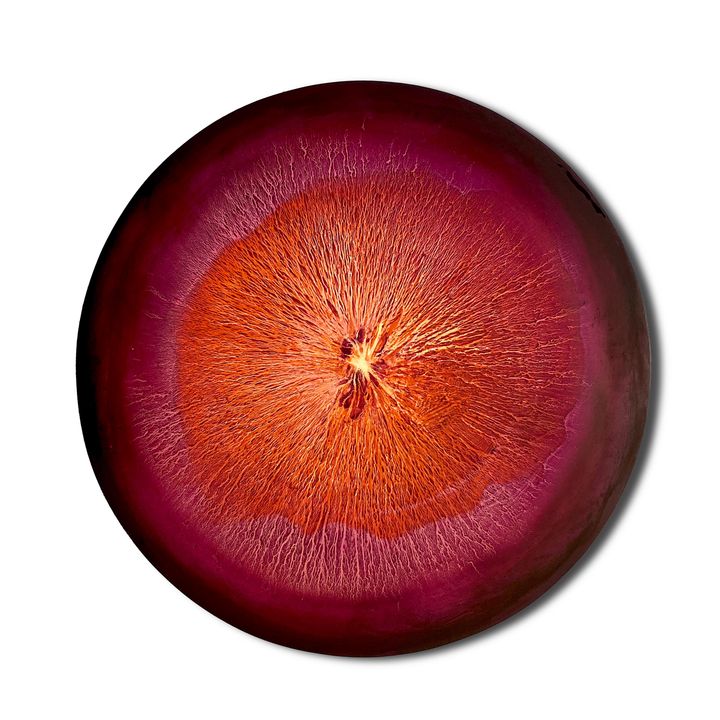 Martyna Łuszczyńska | Rhythms - pulsating Magenta Orange, 2025