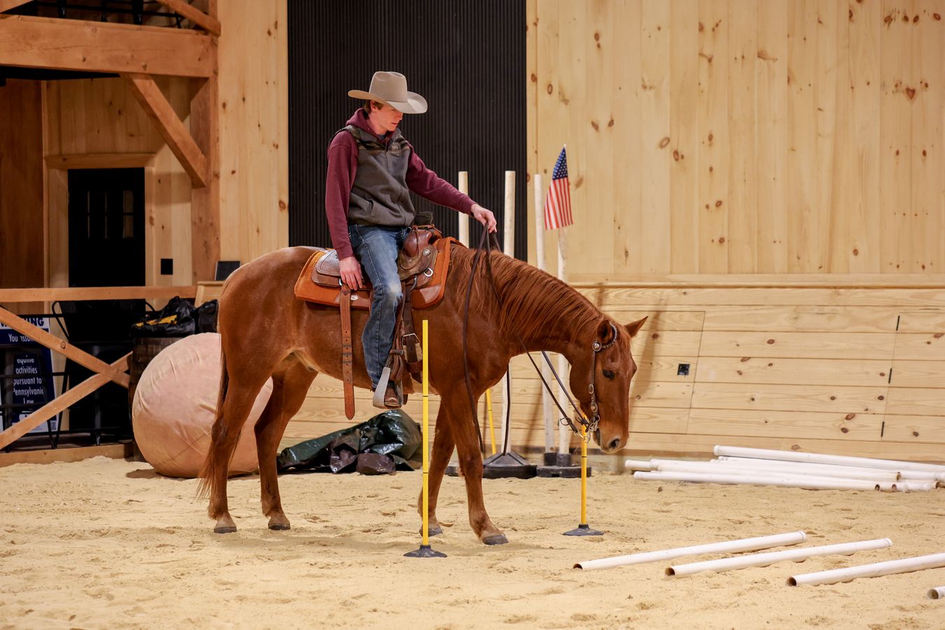 ROAN RANGER *LMR LOOKIN FOR PEP* | Horse Bid, LLC