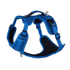Rogz Utility Large Fanbelt Explore Harness Blue Reflective |