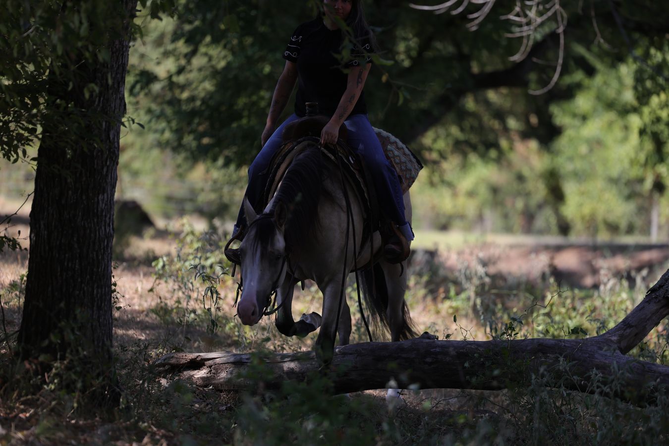 FENDI *by MAYTHEFORCEBEWHIZYOU* | Horse Bid, LLC