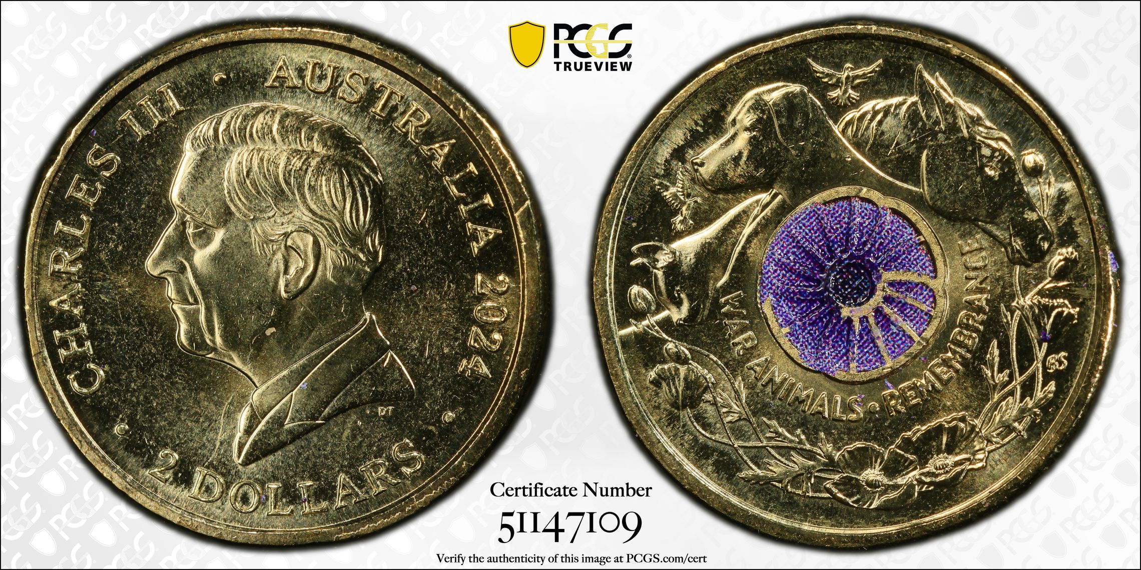 War Animal Remembrance Colorized , Two Dollar, 2024, PCGS MS66