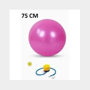 GetUp Anti Burst Yoga Ball with Foot Pump Various Colours Pink 75 cm | NOT TESTED
