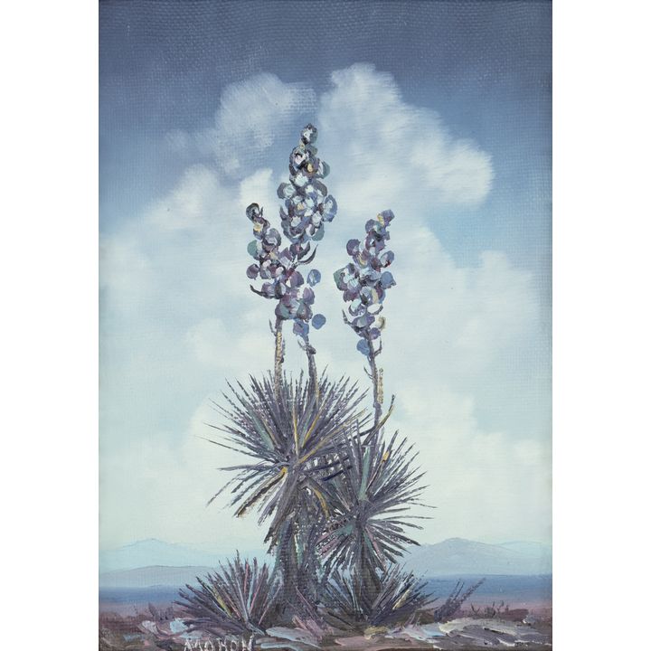 Jane Mohon (20th/21st Century): Yuccas