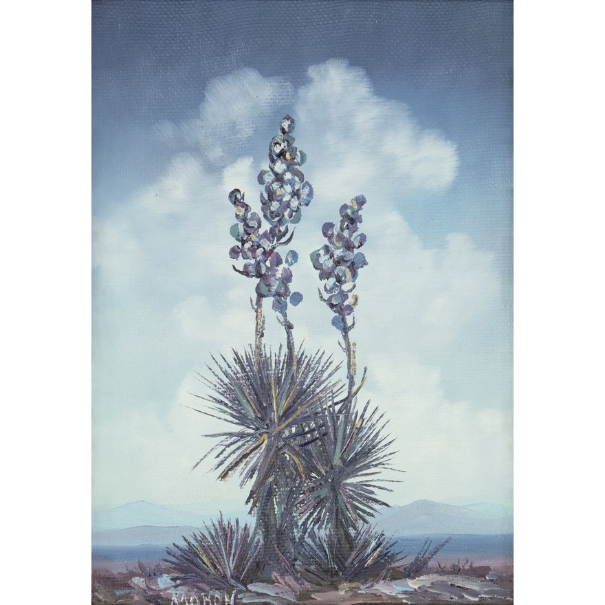 Jane Mohon (20th/21st Century): Yuccas