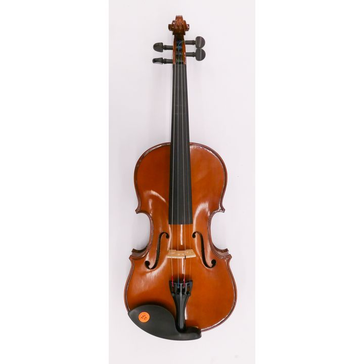 Palatino 4/4 VN750 Violin. 2000's