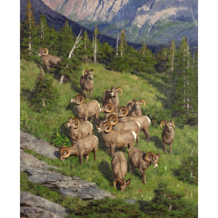 Tucker Smith (1940- ), Rams Being Rams, 2009