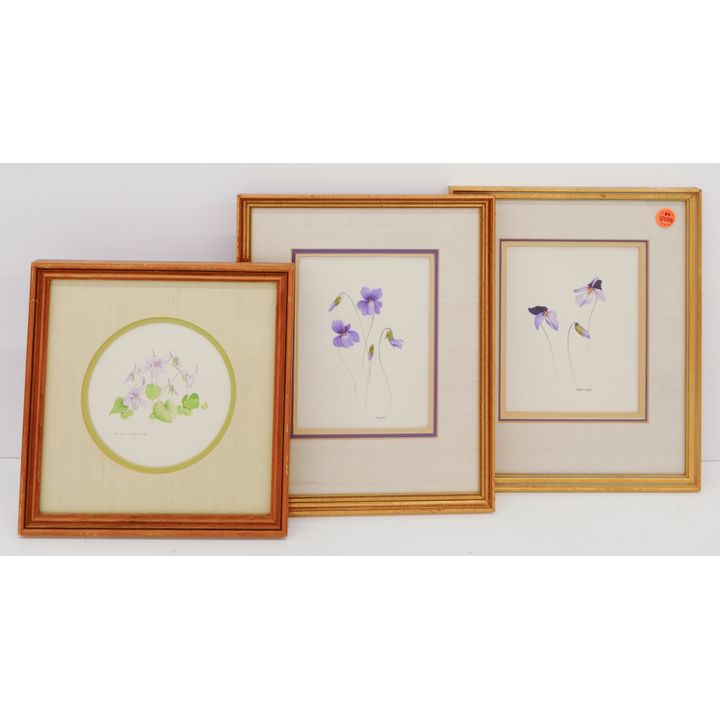 3pc Bruce Corban Small Floral Watercolors Framed 12''x10'' Largest