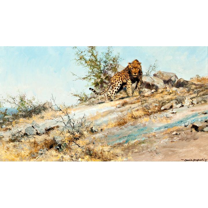David Shepherd (1931- ), Who Dares Wins
