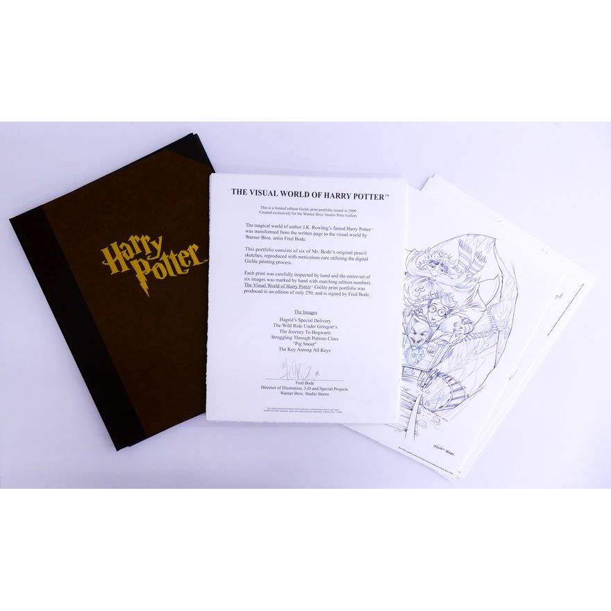 Warner Brothers 'The Visual World of Harry Potter' Limited Edition Giclee Print Portfolio- 14x11"