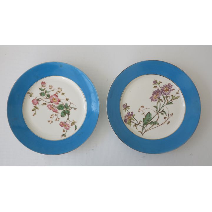 PAIR OF CONTINENTAL PORCELAIN PLATES