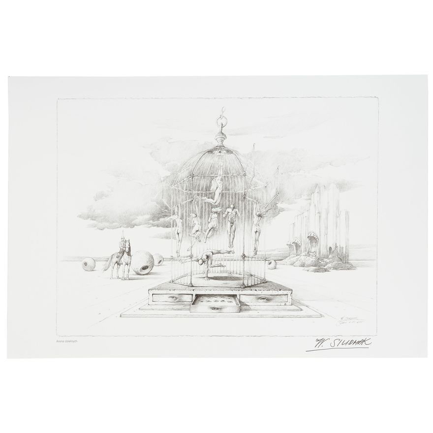 Wojtek Siudmak | Arena dzielnych, 2015 r.