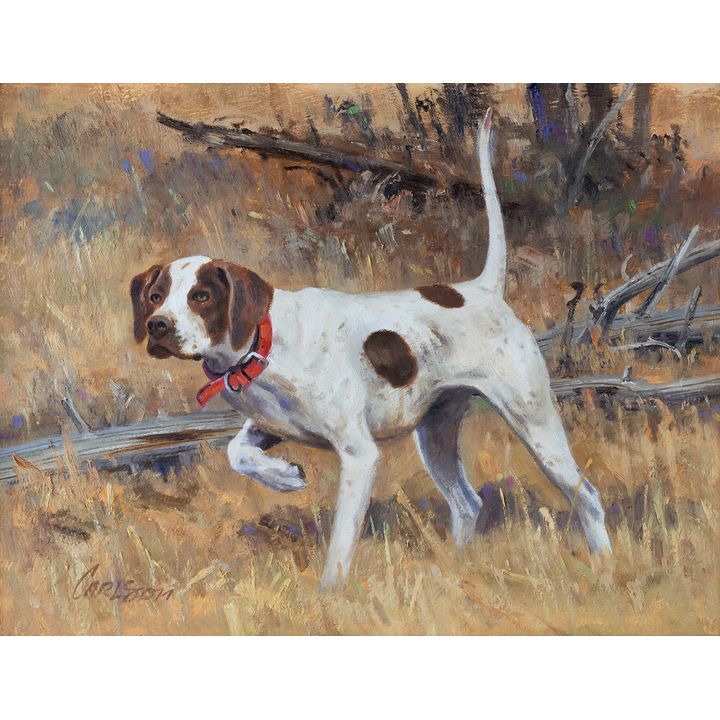 Ken Carlson (1937- ), Pointer