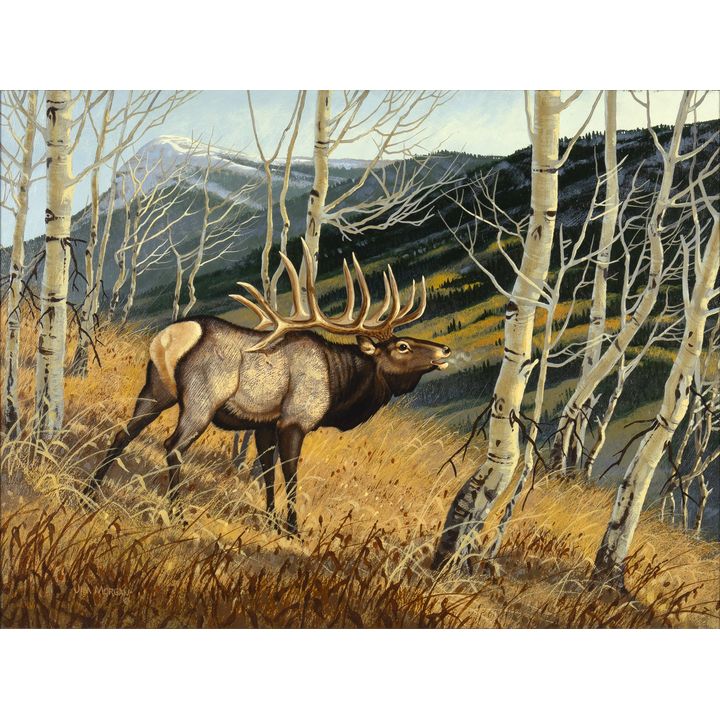 Jim Morgan (1947- ), Elk