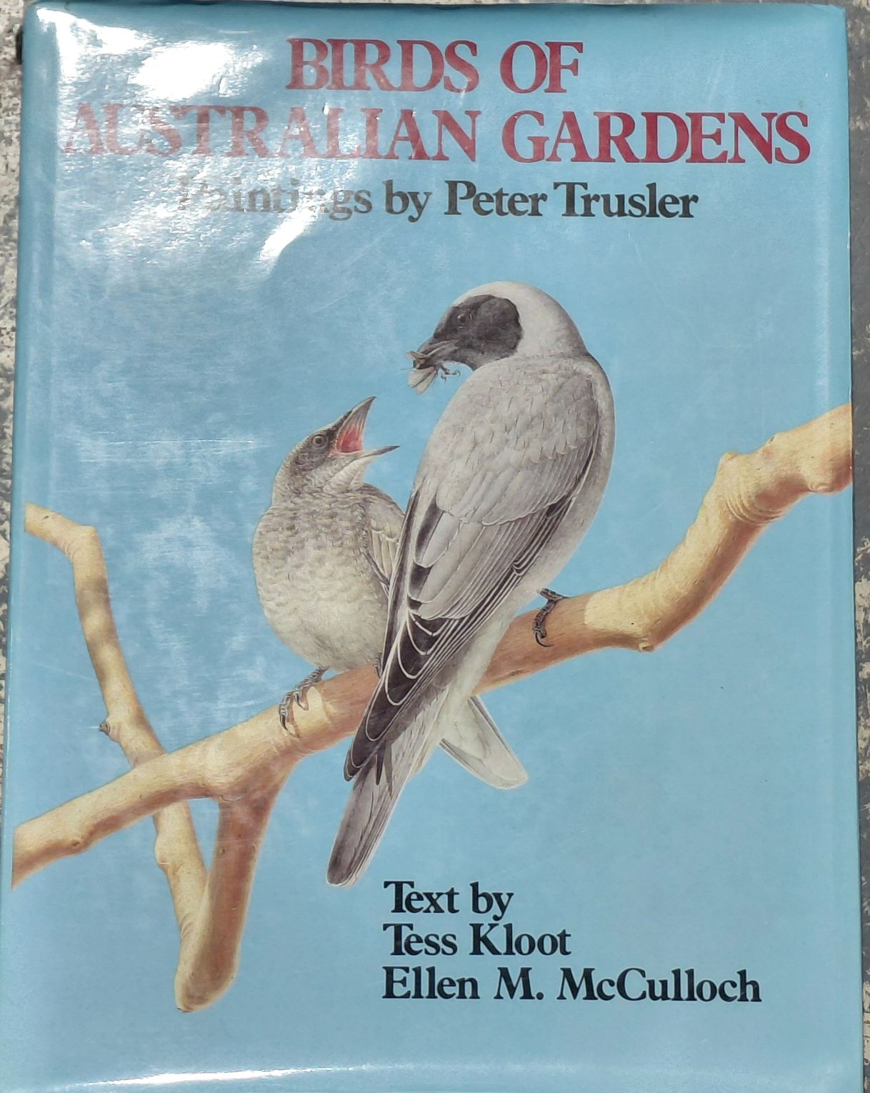 Birds Of Australian Gardens