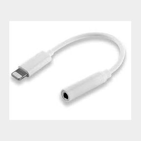 Lightning Cable to Aux adapter for iPhone|NOT TESTED