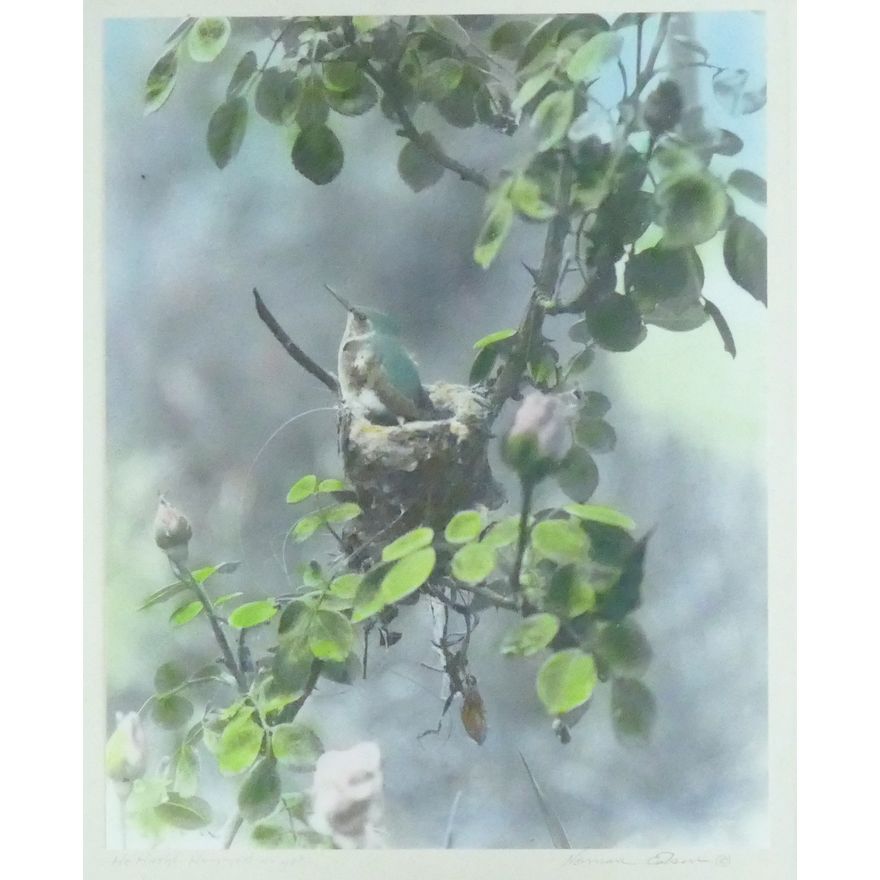 Norman Edson ''He Hasn't Hummed . . Yet'' Tinted Photograph