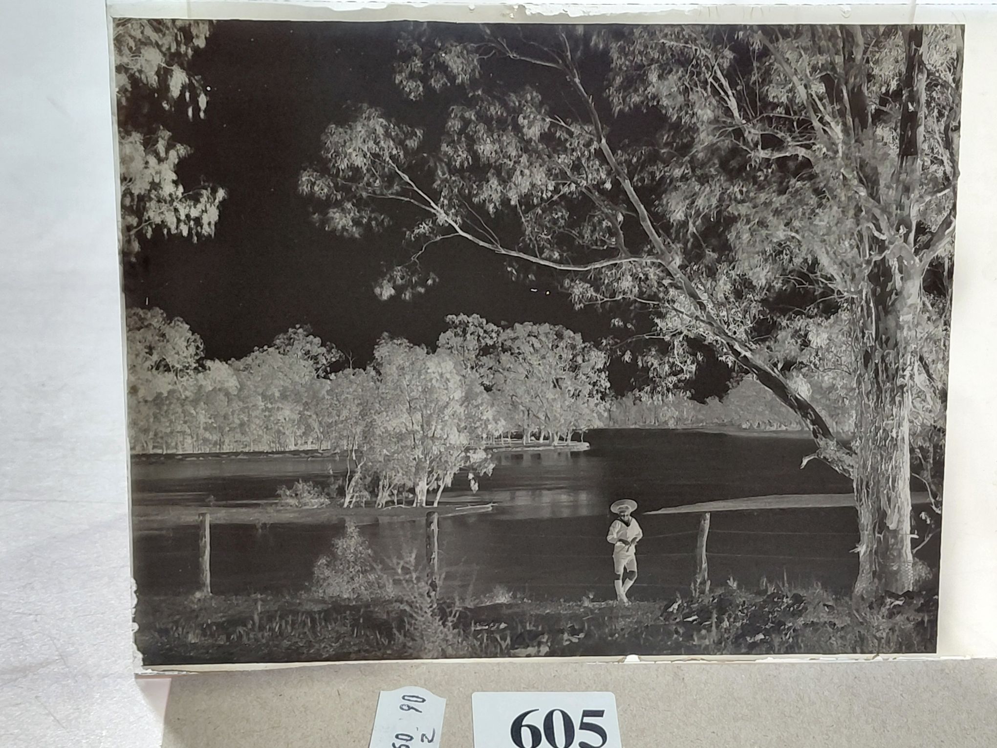 605 · GLASS NEGATIVES