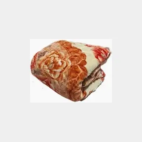 High Quality Extreme Soft Warm Winter Blanket 2Ply Bijon Queen |