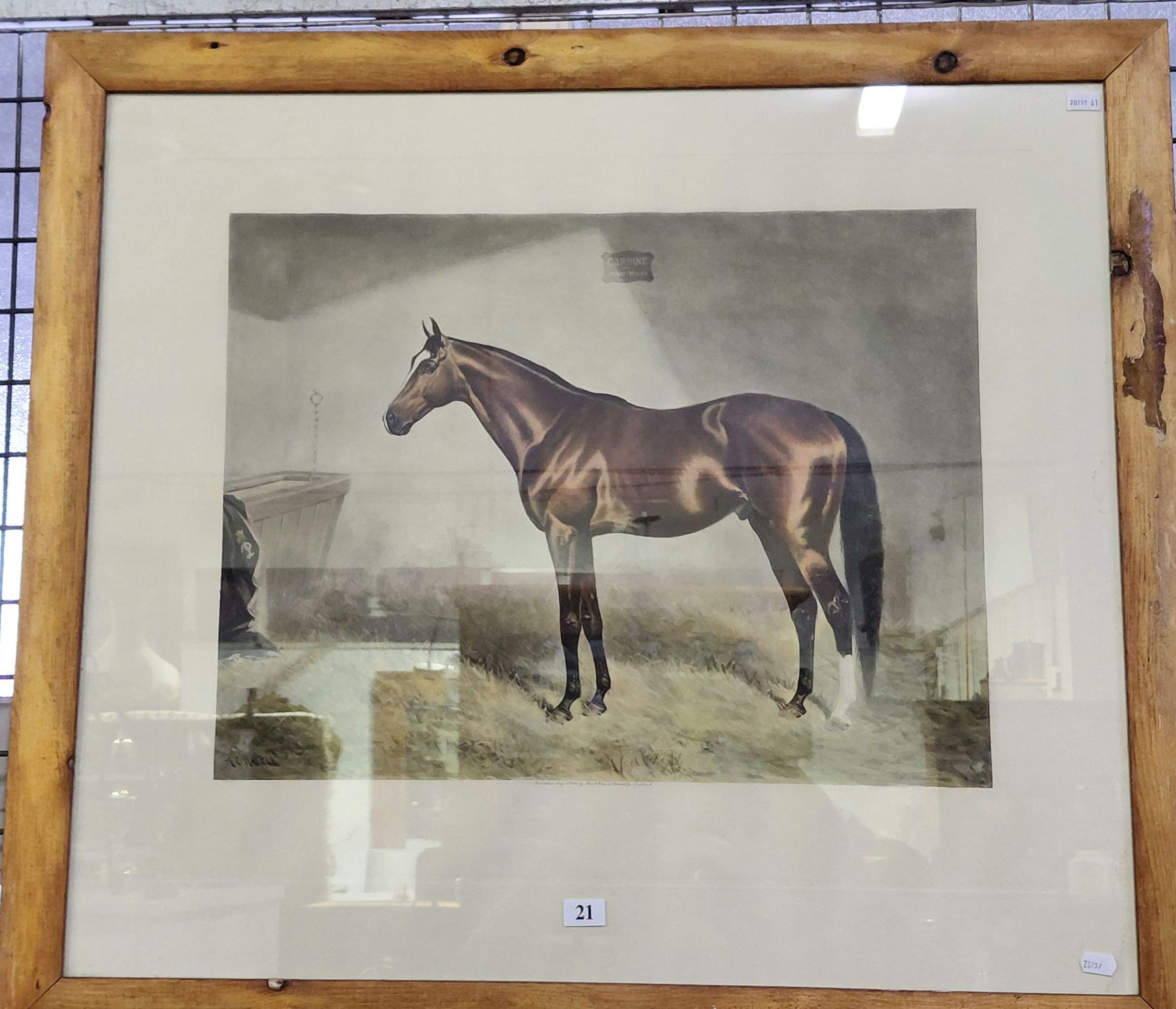 21 · EQUESTRIAN PRINT