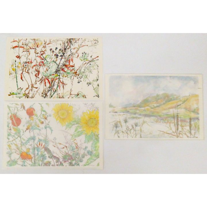 3pc Steve Soihl Original Botanical Watercolors