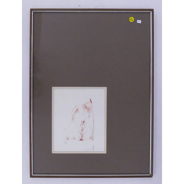 Salvador Dali 'Narcisus' S/N Etching- 25x19'' framed with artistic matting