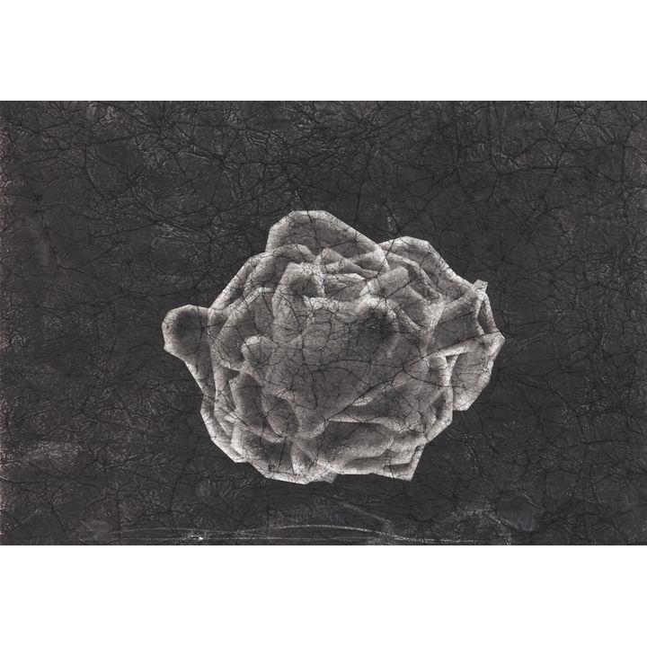 Antony Densham 'Untitled'