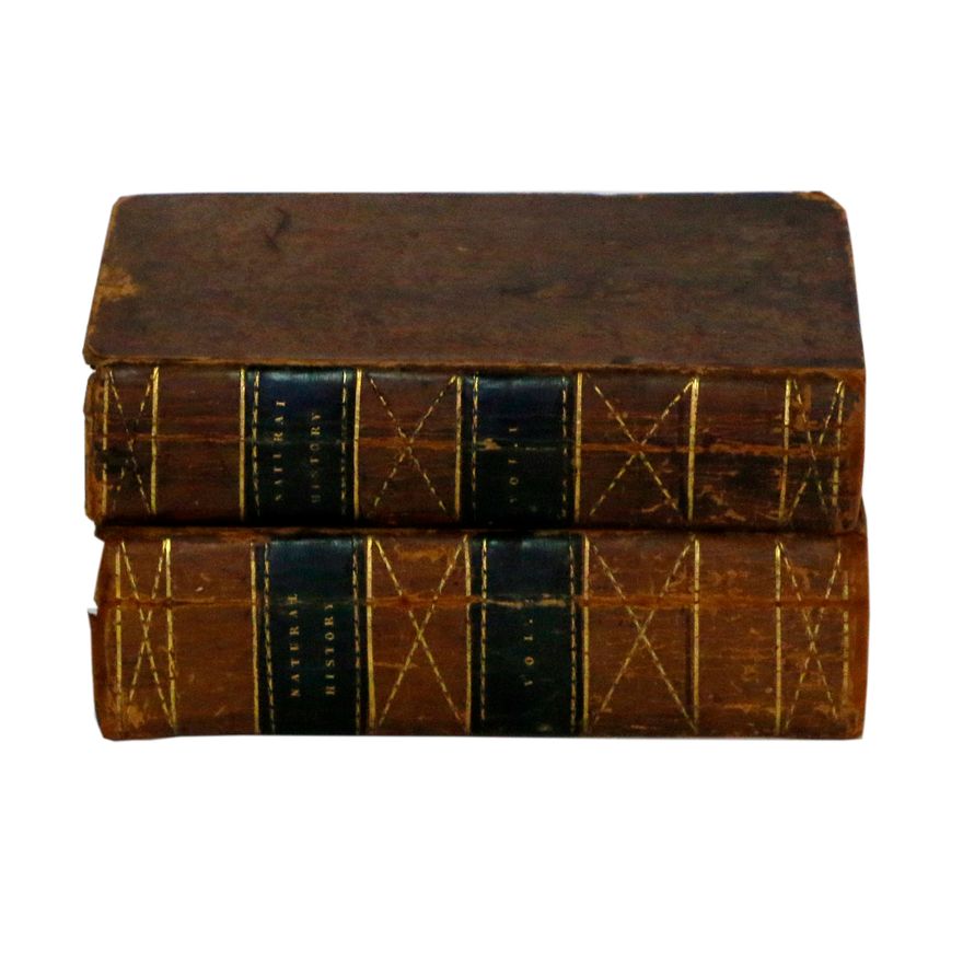 BUNGAY   [2 titles] - The Natural History of Birds