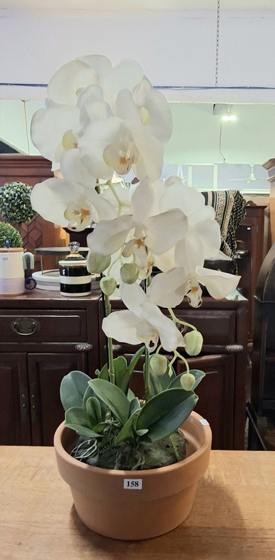Faux Orchid