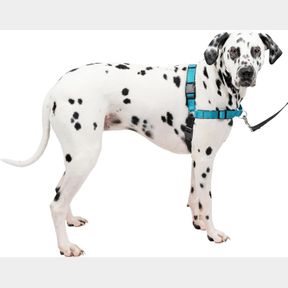 PETSAFE EASY WALK DELUXE DOG HARNESS, NO PULL DOG HARNESS PERFECT FOR LEASH & HARNESS TRAINING STOPS PETS FROM PULLING AND CHOKING