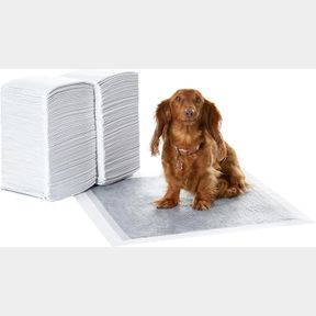 AMAZON BASICS DOG AND PUPPY PEE PADS WITH 5-LAYER LEAK-PROOF DESIGN AND SUPER ABSORBENT SURFACE FOR POTTY TRAINING, ODOR-CONTROL C