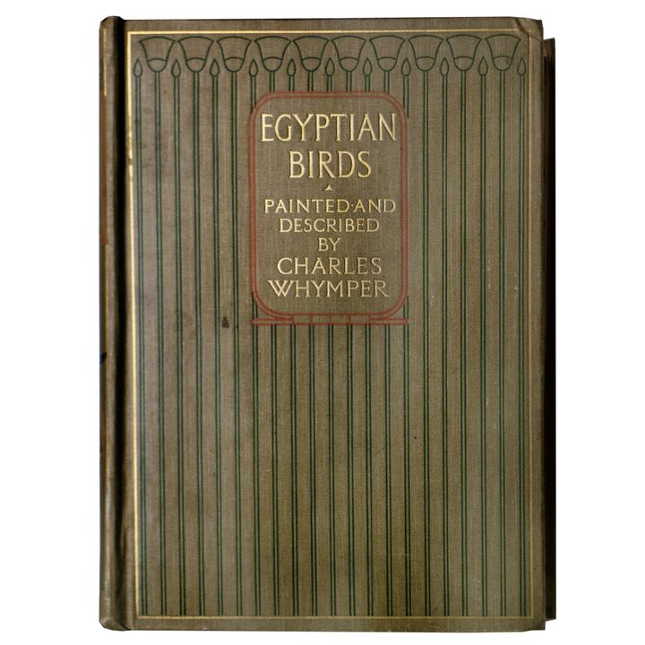 WHYMPER, CHARLES - Egyptian Birds.