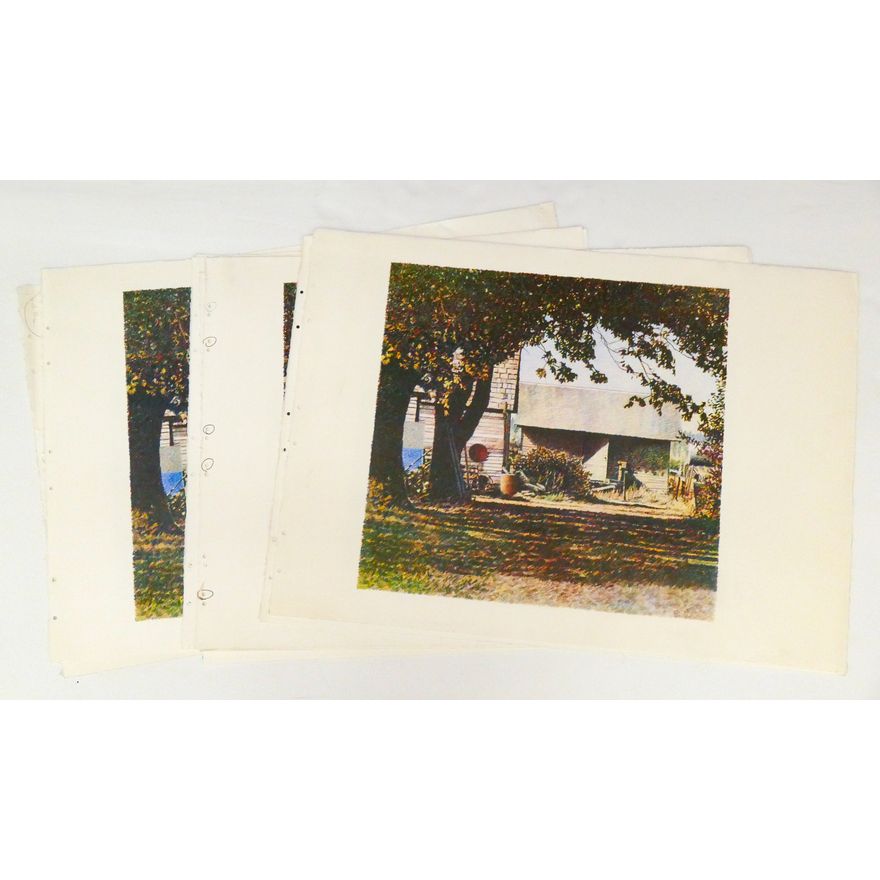 11pc Mike Pease ''Summer Shadows'' Test Lithographs