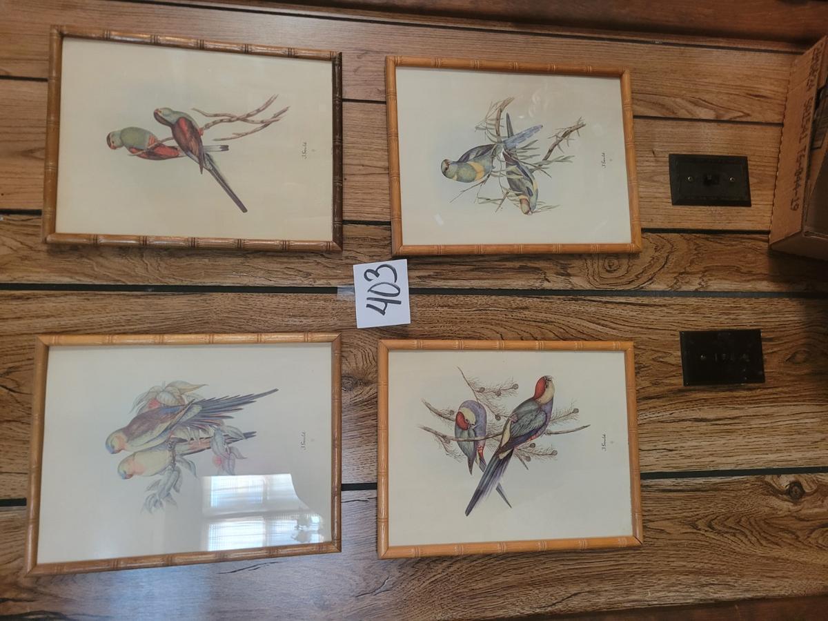 4 Vintage Bird Framed Prints | Midwest Auctions, LLC