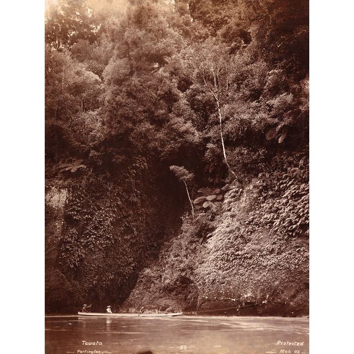 William Henry Thomas Partington 'Tawata'