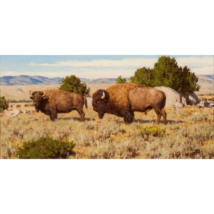 Tucker Smith (1940- ), Buffalo at Split Rock