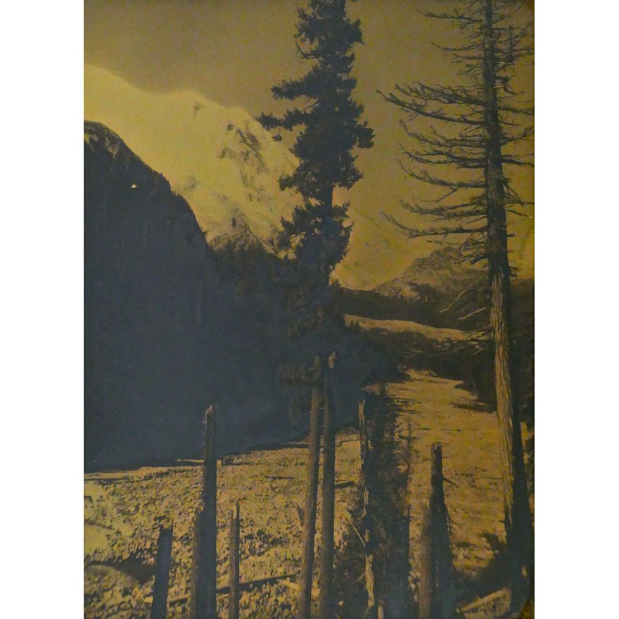 Asahel Curtis Attr. ''Northwest Landscape'' Orotone