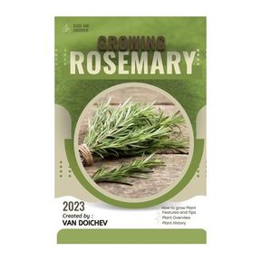 Rosemary Seed Kit Grow your own Fruits and vegetables |INCOMPLETE