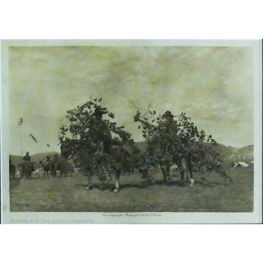 Antique Edward Curtis ''Boughs for the Altar - Cheyenne'' Photogravure Framed 10.5''x12.5''