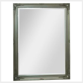 Catalina Rectangular Mirror Silver Antique | MIRROR BROKEN/FRAME ONLY