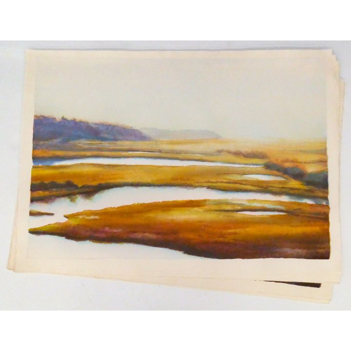 18pc Kent Lovelace '' Nisqually'' Lithographs 29.5''x42'' Sheets.