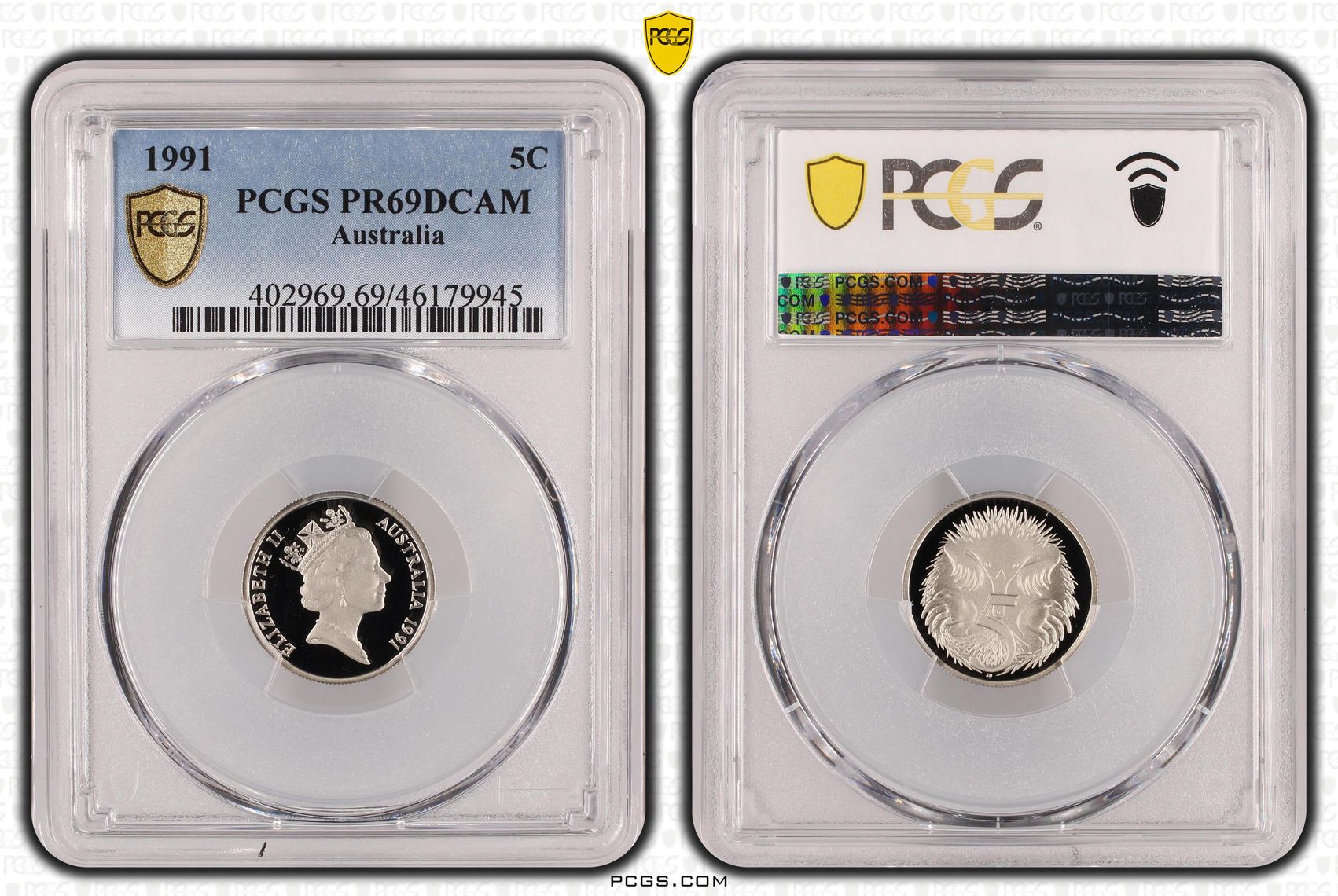 Five Cent, 1991, PCGS PR69DCAM