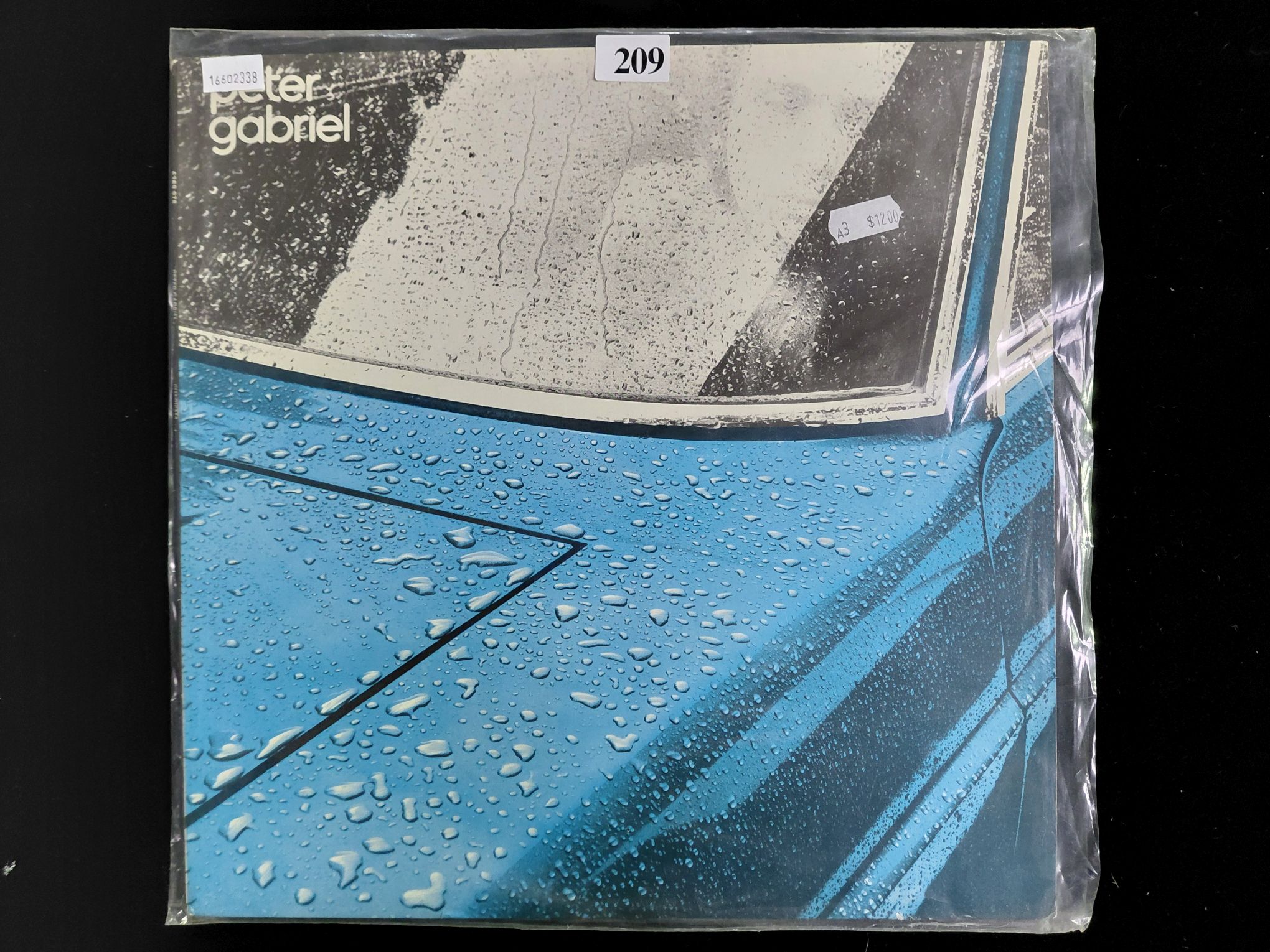 Peter Gabriel