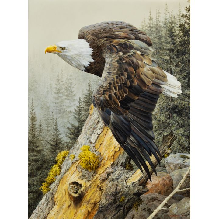 Carl Brenders (1937- ), America on the Rise, 2021
