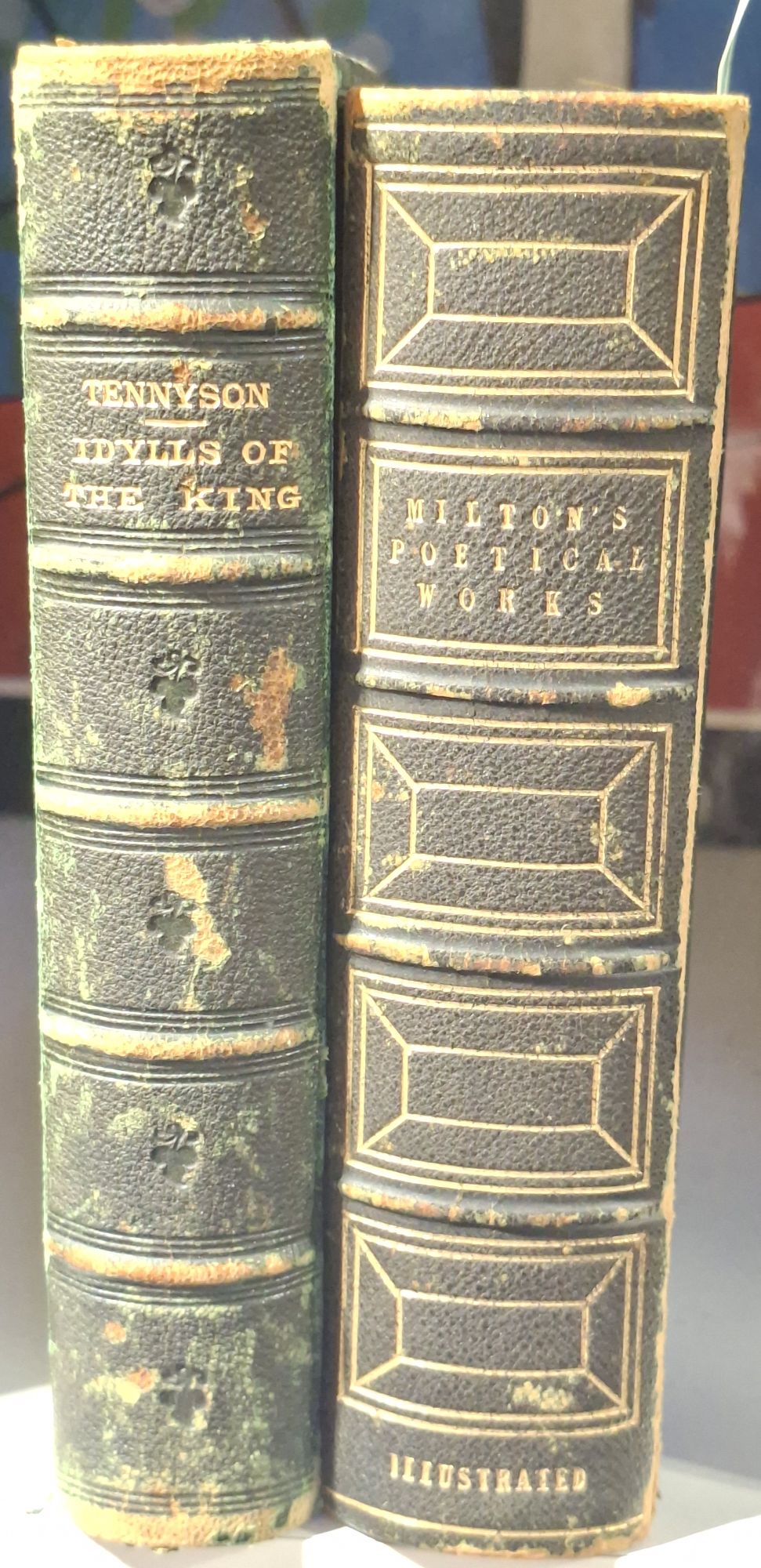 Antiquarian Books